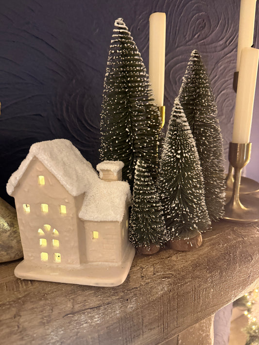 Minature Ornamental Xmas Trees