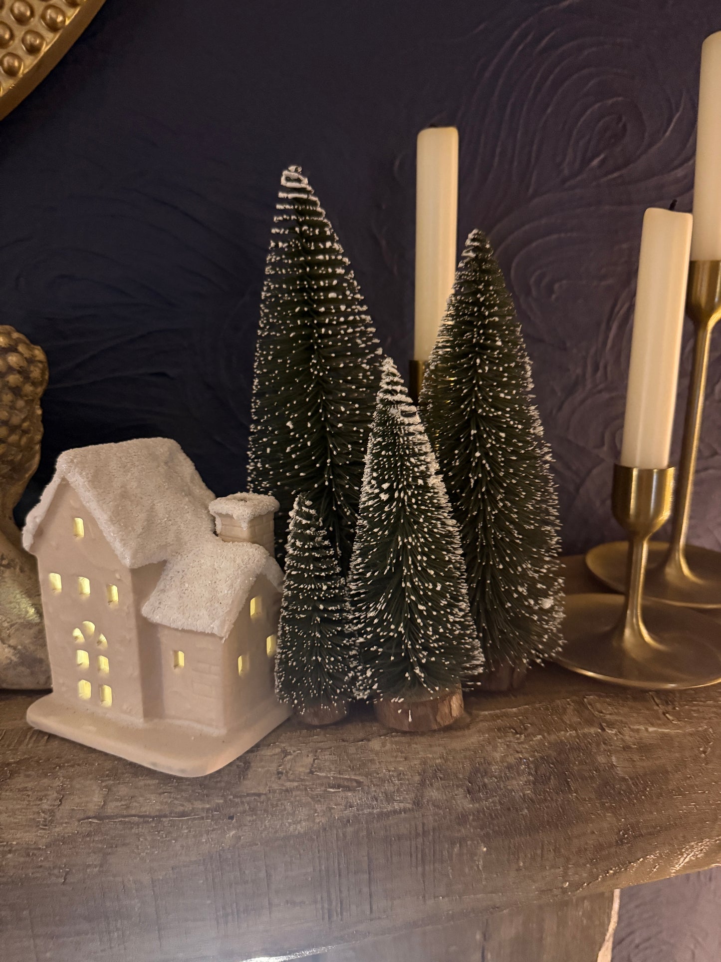 Minature Ornamental Xmas Trees